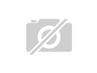 Freistehendes neues Einfamilienhaus zu vermieten
